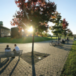 Natur, Kultur und Vergangenheit im Westpark wird der Wandel Bochums greifbar